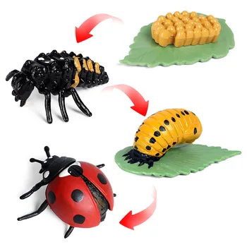  Eğitici Oyuncaklar Simülasyon Hayvanlar Büyüme Döngüsü Modeli Arı Örümcek Kelebek Aksiyon Figürleri Heykelcik Sevimli Çocuklar Bebek oyuncak figürler