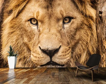  Papel de parede Yakın çekim bir Afrika aslanı 3d duvar kağıdı duvar, oturma odası tv duvar kids'bedroom duvar kağıtları ev dekor bar duvar