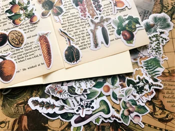  54 adet Vintage Fındık Bitkiler TN parşömen kağıdı Çıkartmalar Set Kalıp Kesim DIY Scrapbooking İçin Önemsiz Günlüğü Kart Yapımı Malzeme Etiket