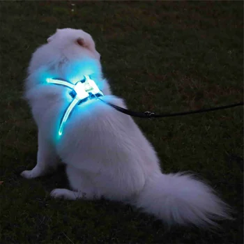  ayarlanabilir Profesyonel üretim pet led köpek koşum Yeni 2020 Favorites LED Pet Köpek Kedi Koşum ve Tasma Açar Eğitim Güvenli